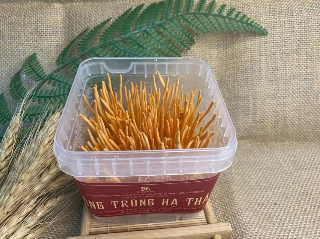 Giá bán của đông trùng hạ thảo khô bao nhiêu tiền 1 kg?