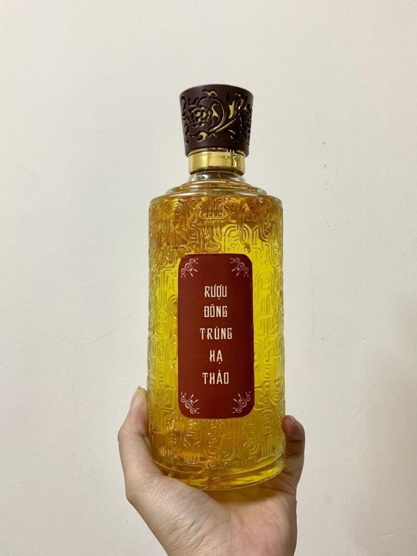 Đông trùng hạ thảo tươi hay khô tốt?
