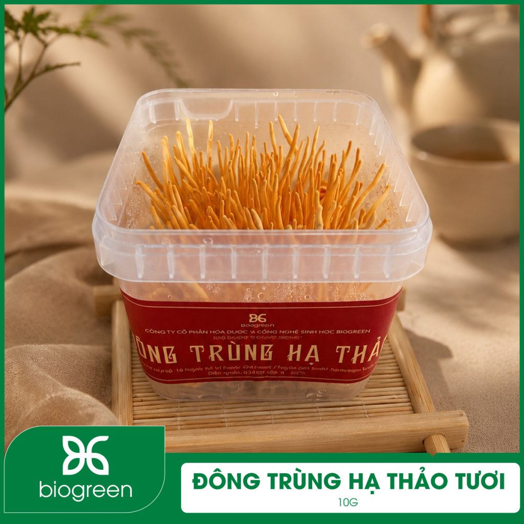Đông trùng hạ thảo tươi (10g)