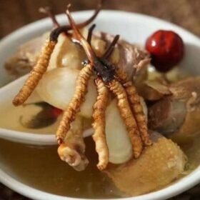 Tác hại của đông trùng hạ thảo khi sử dụng sai cách