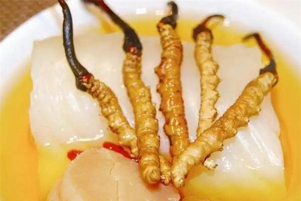 Tác hại của đông trùng hạ thảo khi sử dụng sai cách 2