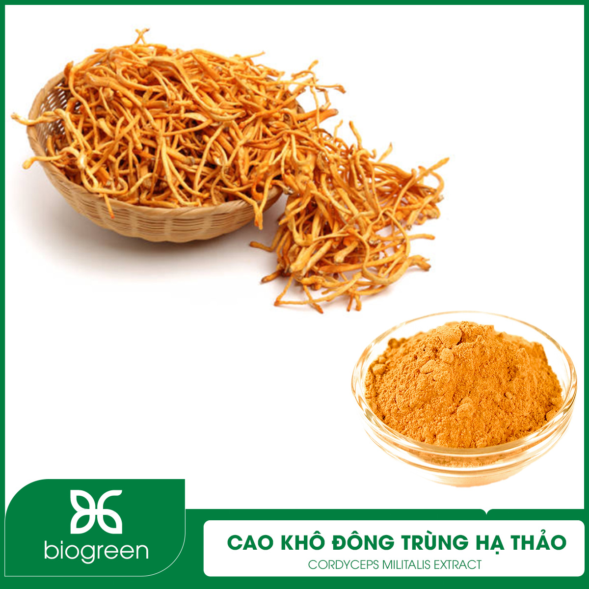 Cao khô Đông trùng hạ thảo