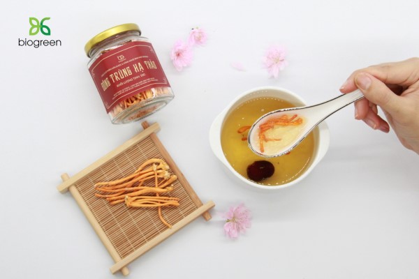 Tác dụng và công dụng của đông trùng hạ thảo khô 3