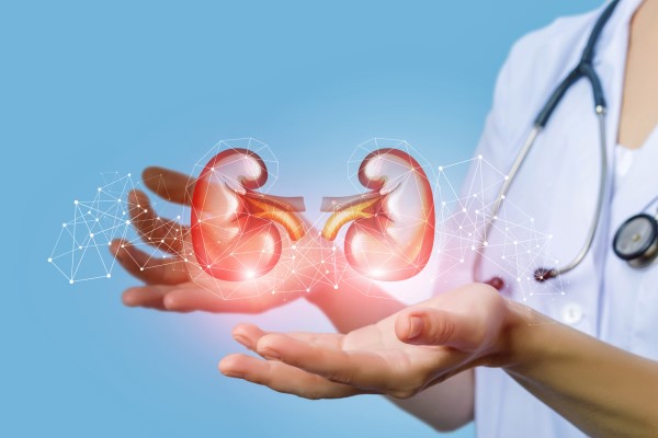 Uống đông trùng hạ thảo có tác dụng gì? Có tốt không? 3